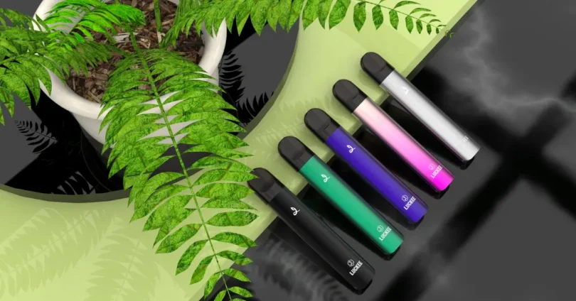 rechargeable disposable vape pen